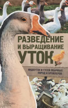 Разведение и выращивание уток, индоуток и гусей обычных пород и бройлеров — 2696380 — 1