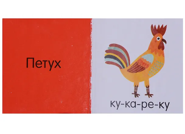 Книга Познаем мир вместе. Мои первые знания. 15 книжек-кубиков (Ольга Уткина) — 3