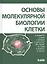 Основы молекулярной биологии клетки 2 изд. — 2611759 — 1