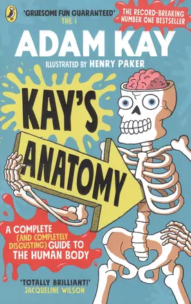 Kays Anatomy. A Complete (and Completely Disgusting) Guide to the Human Body — 2891219 — 1