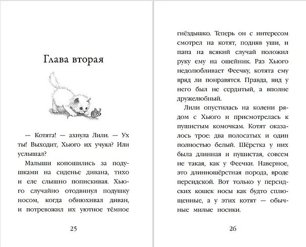 Книга Котёнок Стенли, или Настоящий клад (выпуск 37) (Холли Вебб) — 9