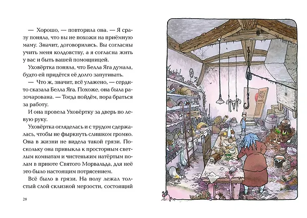 Книга Ая и ведьма (Диана Джонс) — 10