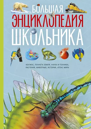 Большая энциклопедия школьника — 2602834 — 1