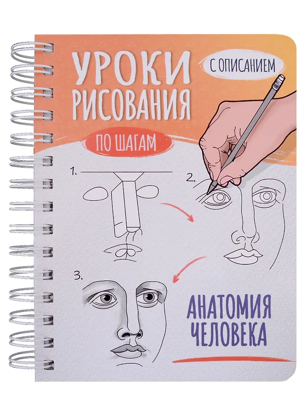 Скетчбук А5 Уроки рисования по шагам. Анатомия человека 2905532 — 1