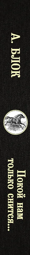 Книга Покой нам только снится... (Александр Блок) — 3