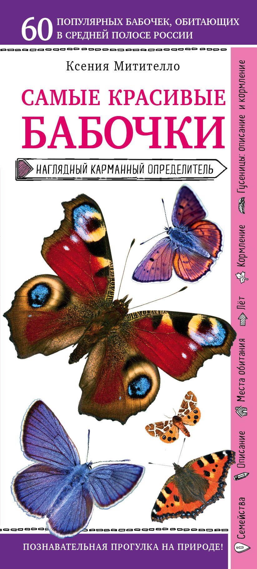 

Бабочки. Наглядный карманный определитель