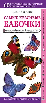 Бабочки. Наглядный карманный определитель