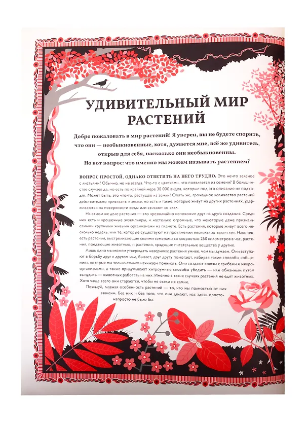Книга Мир растений (Мартин Дженкинс) — 4