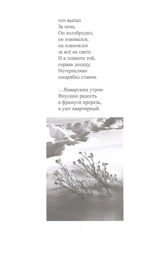 Книга Сиреневый снегопад () — 7
