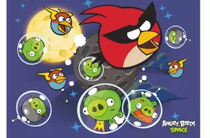 Папка на резинках А4 "ANGRY BIRDS" картон, Centrum — 228980 — 1