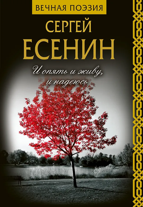 Книга И опять и живу, и надеюсь (Сергей Есенин) — 1