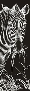 Игра Картина-гравюра Зебры