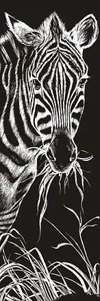 Игра Картина-гравюра Зебры 2274271