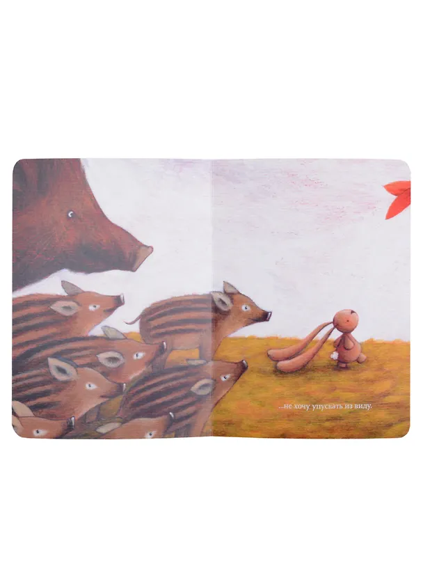 Книга Чачо в лесу (Сара Хури) — 4