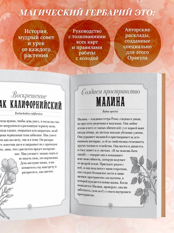Книга Магический гербарий. 36 карт с посланиями от волшебных растений (Оракул. 36 карт и руководство в коробке) (М. Толл) — 9