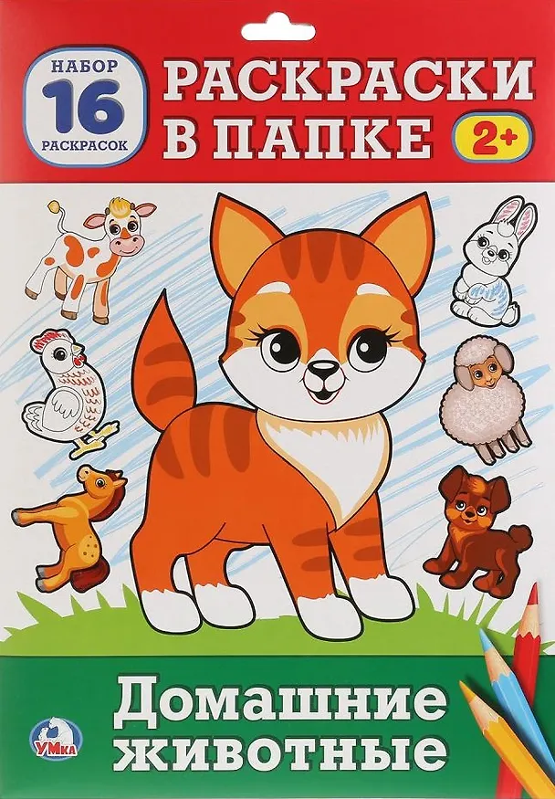 Книга Домашние животные. Раскраска в папке (Анна Козырь) — 1