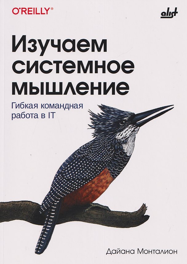 Книга Изучаем системное мышление. Гибкая командная работа в IT (Дайана Монталион) — 1