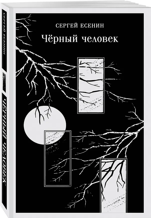 Книга Чёрный человек (Сергей Есенин) — 6