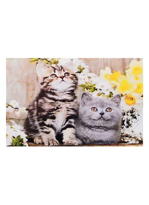 Алмазная мозаика квадратная 17x22 (класс.) с подр., с полн. заполн. (19 цв.) Котята в цветах (Арт. F1-002) 2842701