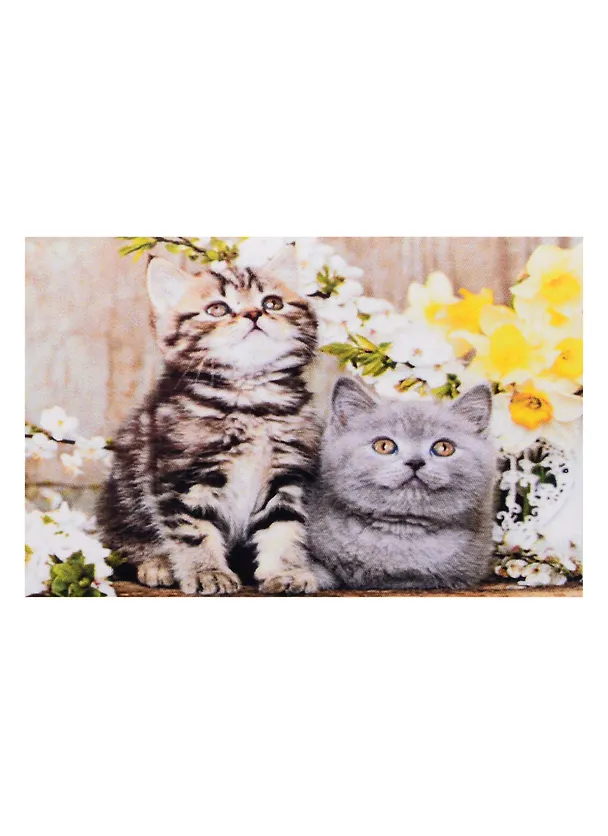 Алмазная мозаика квадратная 17x22 (класс.) с подр., с полн. заполн. (19 цв.) Котята в цветах (Арт. F1-002) 2842701 — 1