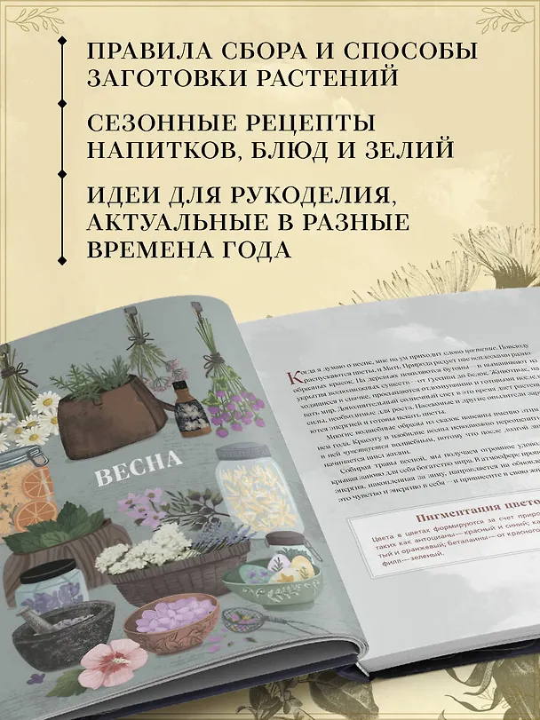 Книга Травы. Магические запасы. Иллюстрированное руководство по сбору и заготовке волшебных растений, их полезным свойствам и сезонным ритуалам (Эбони Георге) — 7