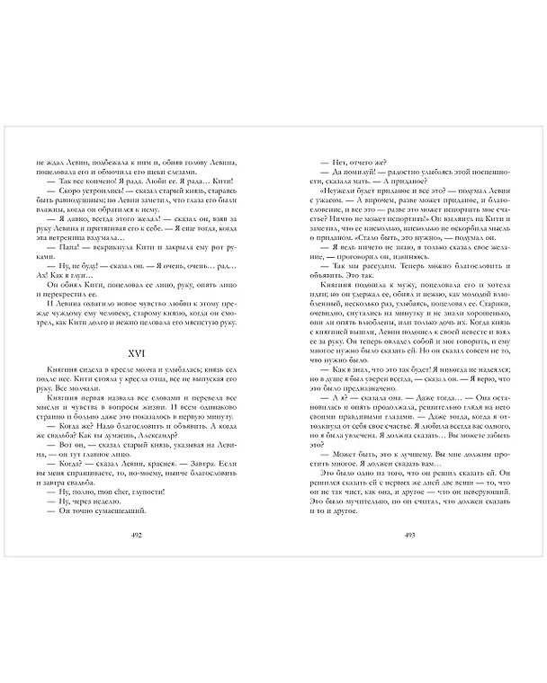 Книга Анна Каренина (Лев Толстой) — 16