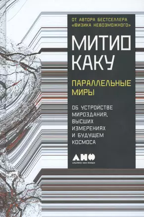 Параллельные миры: Об устройстве мироздания, высших измерениях и будущем космоса — 2599525 — 1