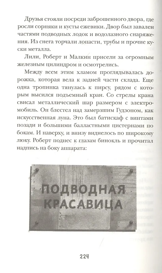 Книга Подводные тайны (Питер Банзл) — 3