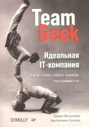 Идеальная IT-компания. Как из гиков собрать команду программистов. — 2408561 — 1