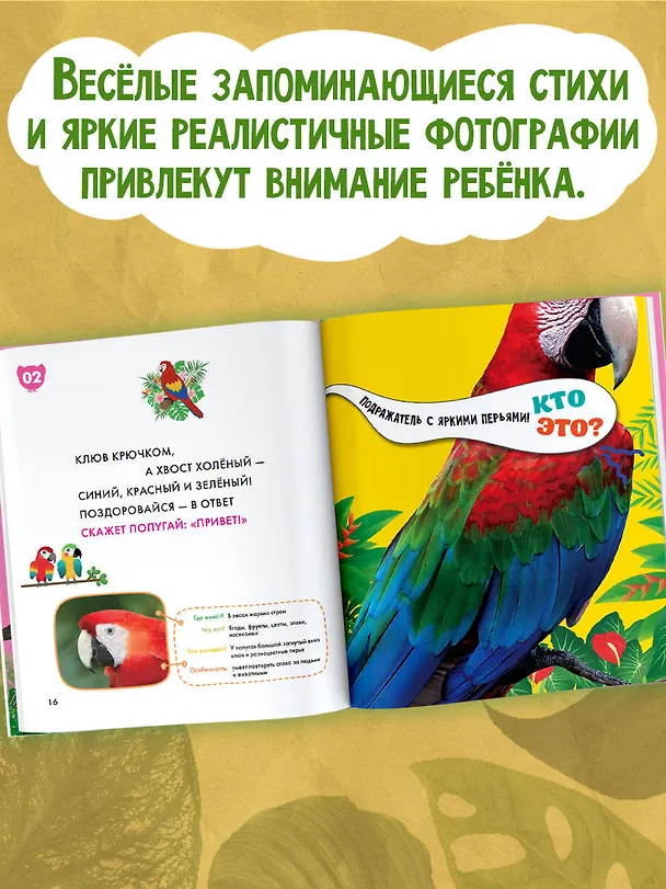 Книга Птицы () — 5