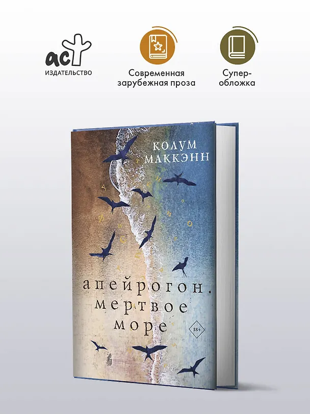 Книга Апейрогон. Мертвое море (Колум Маккэнн) — 5