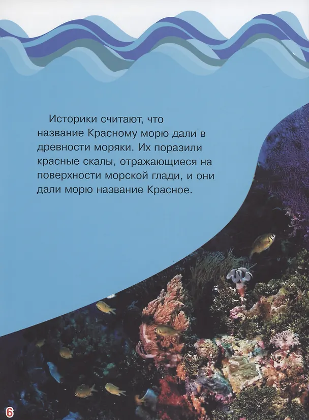 Книга Мир коралловых рифов Красного моря (Василий Климов) — 5