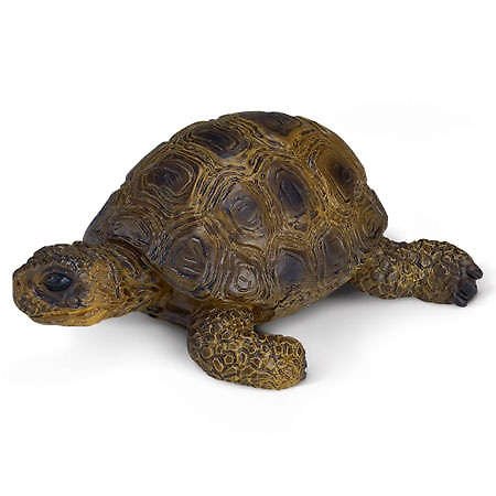 Игрушка, Schleich/Шляйх, Фигурка Животные из зоопарка. Черепаха 320612 — 1