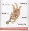Вот так кот! Тексты-лесенки для первого чтения — 2859192 — 3