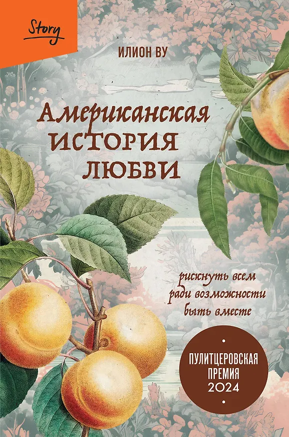 Книга Американская история любви. Рискнуть всем ради возможности быть вместе (Илион Ву) — 1