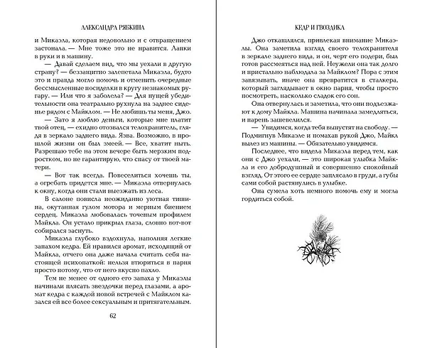Книга Кедр и гвоздика (#1) (Александра Рябкина) — 13