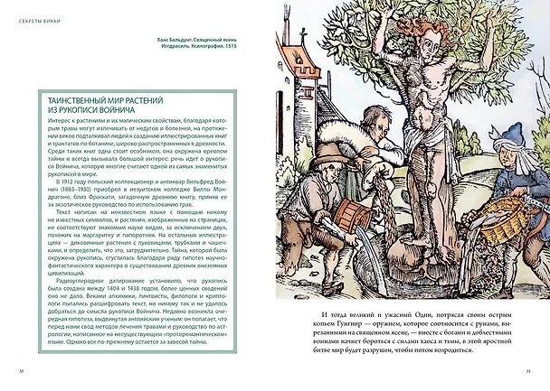 Книга Магия трав и волшебный бестиарий. Сборный комплект из 2-х книг с шоппером (Ипполита Дуглас Скотти ди Виголено, Сабрина Тонутти, Роберто Маркезини) — 22