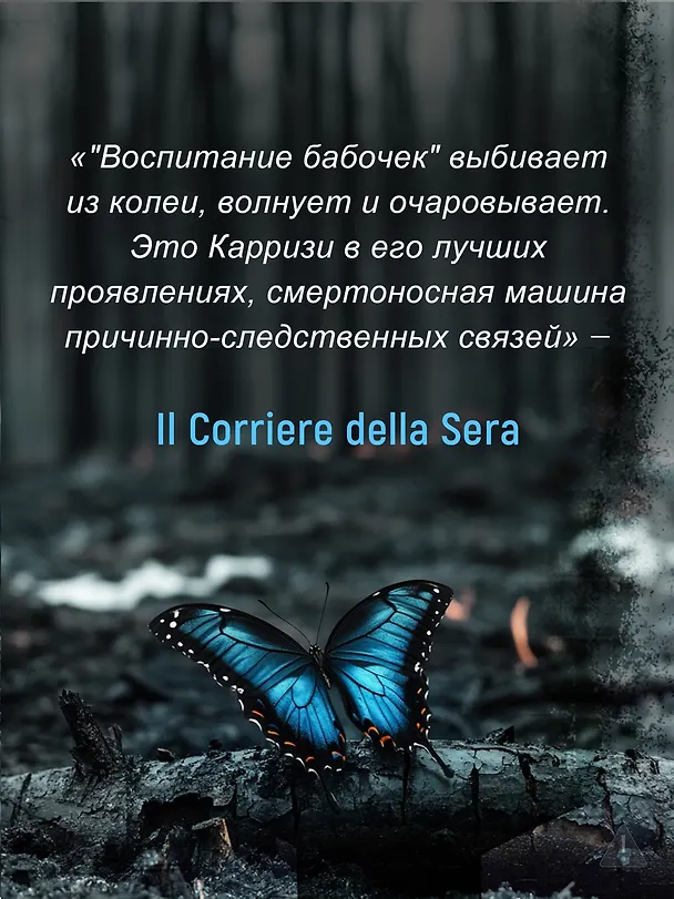 Книга Воспитание бабочек (Донато Карризи) — 11