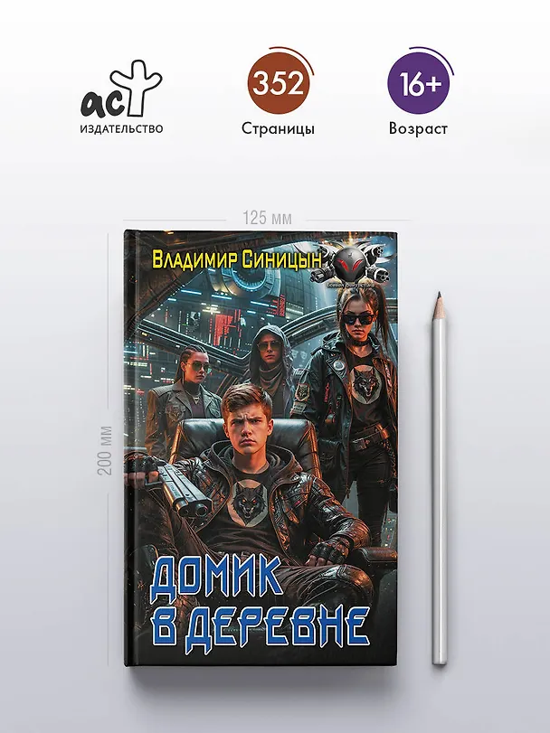 Книга Домик в деревне (Владимир Синицын) — 5