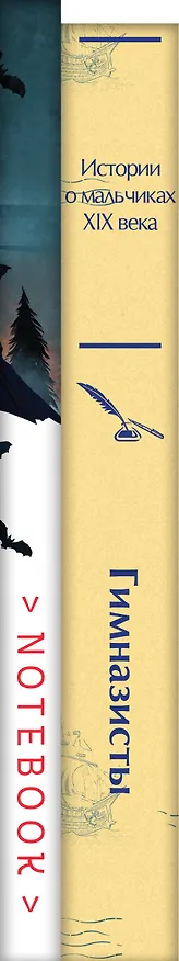 Книга Подарочный набор для мальчика (книга "Гимназисты. Истории о мальчиках XIX века, шоппер и блокнот "Замок Дракулы") () — 3