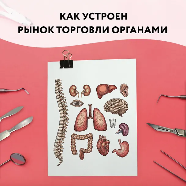 Книга Красный рынок: как устроена торговля всем, из чего состоит человек (Скотт Карни) — 16