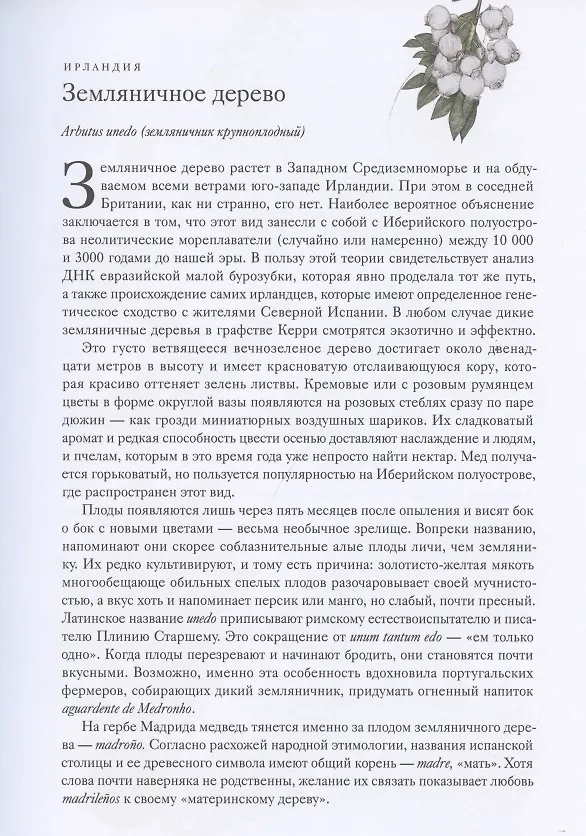 Книга Вокруг света за 80 деревьев (Джонатан Дрори) — 11
