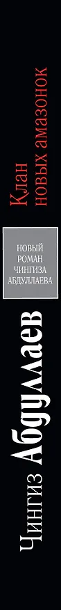 Книга Клан новых амазонок : роман (Чингиз Абдуллаев) — 3
