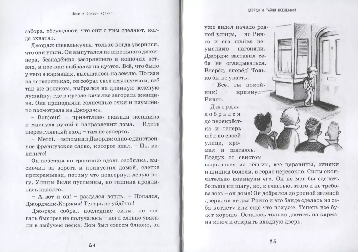 Джордж и тайны Вселенной: Повесть (Люси Хокинг, Стивен Хокинг) - купить  книгу с доставкой в интернет-магазине «Читай-город». ISBN: 978-5-4370-0272-8