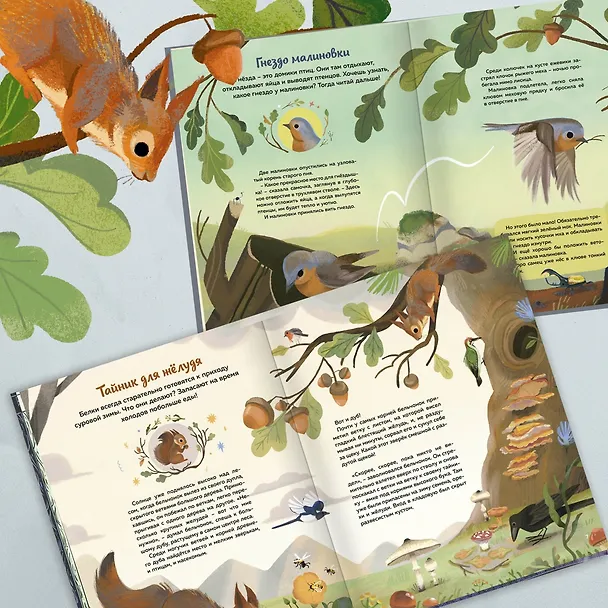 Книга Кто живёт в лесу? Иллюстрированный атлас животных (Алтея Вилла) — 7