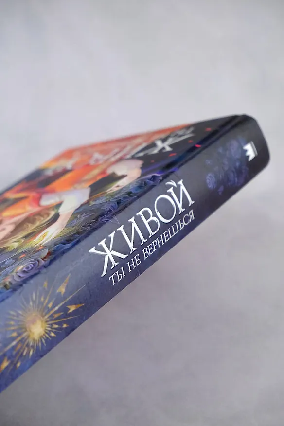 Книга Живой ты не вернешься (Пальмира Керлис) — 9
