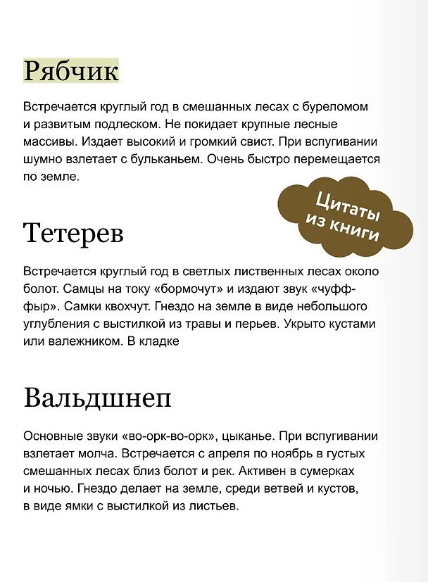 Книга Птицы леса. Артбук (Geo Saiko) — 9