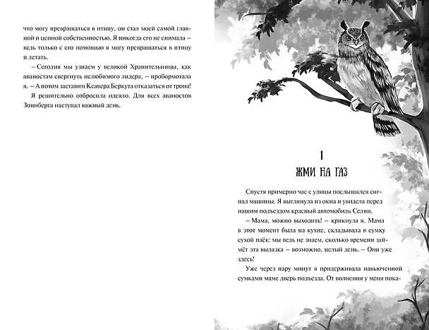 Книга Зачарованные крылья (Нелли Мёле) — 16