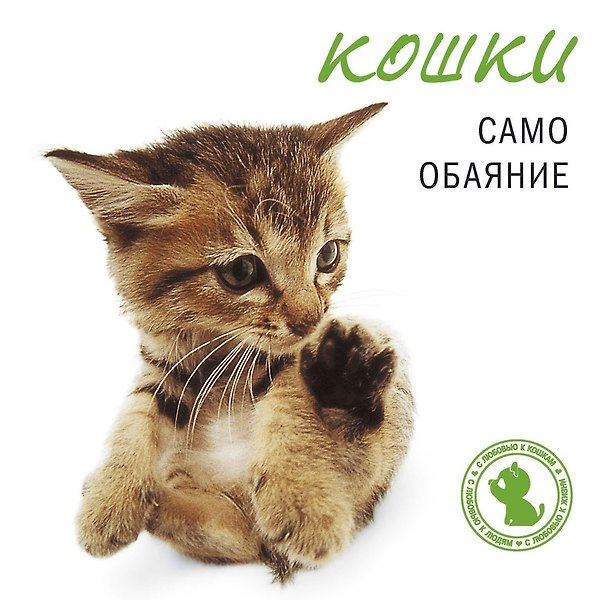 Книга Кошки. Само обаяние (Н.М. Галактионова) — 1