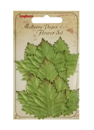 Набор листочков Кедр (SCB300602) (7шт.) (упаковка) 2496898